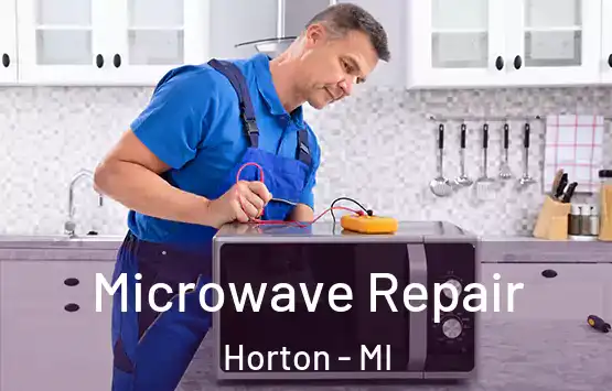  Microwave Repair Horton - MI