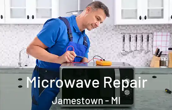  Microwave Repair Jamestown - MI