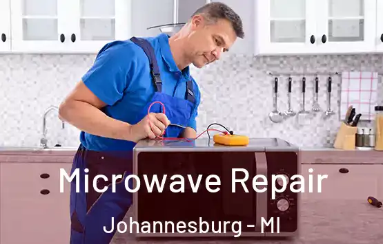  Microwave Repair Johannesburg - MI