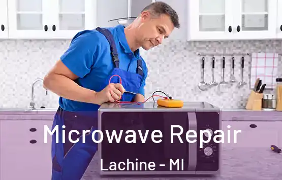  Microwave Repair Lachine - MI