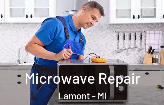  Microwave Repair Lamont - MI