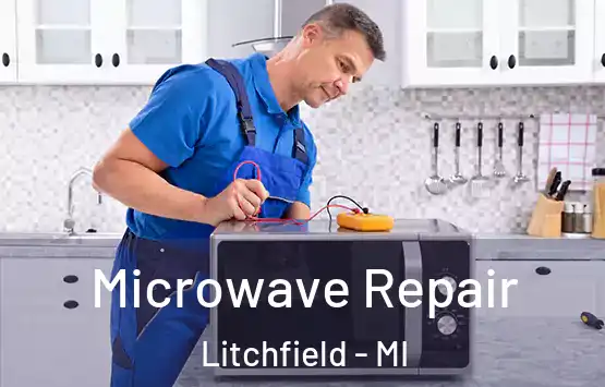  Microwave Repair Litchfield - MI