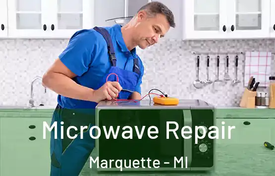  Microwave Repair Marquette - MI