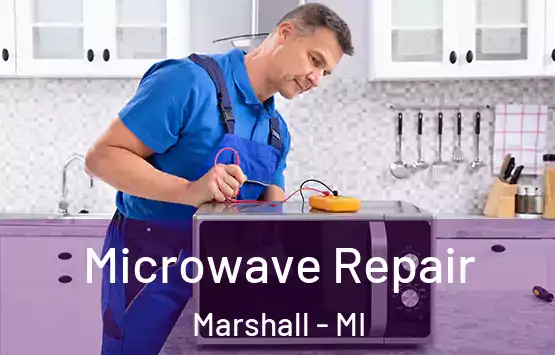  Microwave Repair Marshall - MI