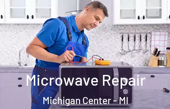  Microwave Repair Michigan Center - MI