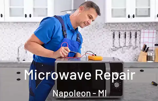  Microwave Repair Napoleon - MI