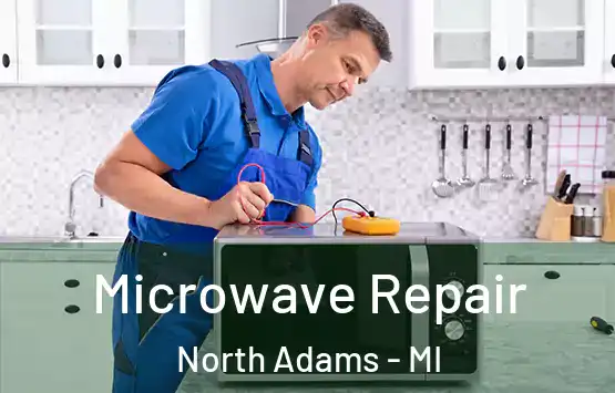  Microwave Repair North Adams - MI