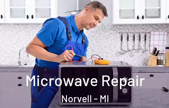  Microwave Repair Norvell - MI