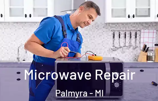  Microwave Repair Palmyra - MI