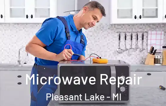  Microwave Repair Pleasant Lake - MI