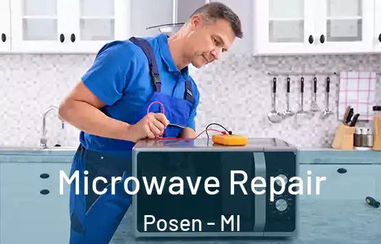  Microwave Repair Posen - MI