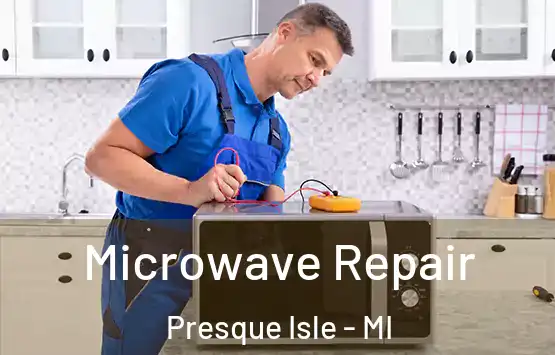  Microwave Repair Presque Isle - MI