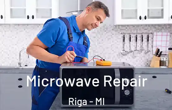  Microwave Repair Riga - MI