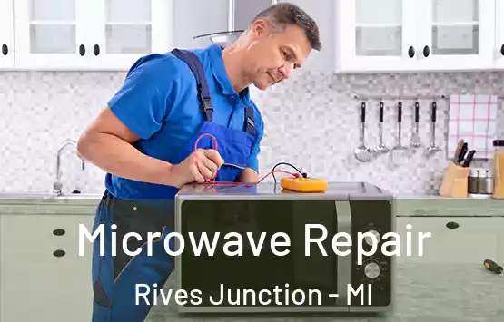  Microwave Repair Rives Junction - MI