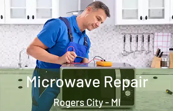  Microwave Repair Rogers City - MI