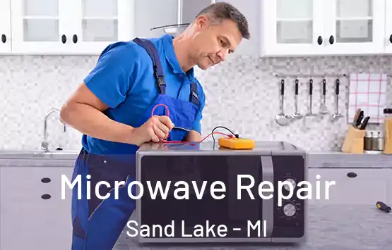  Microwave Repair Sand Lake - MI