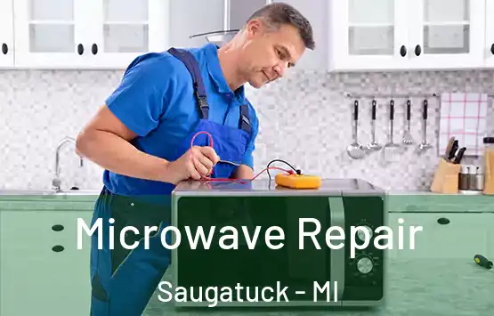  Microwave Repair Saugatuck - MI