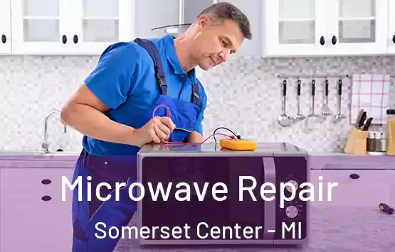  Microwave Repair Somerset Center - MI