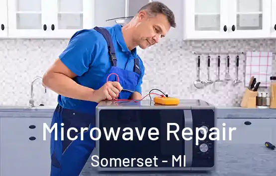  Microwave Repair Somerset - MI