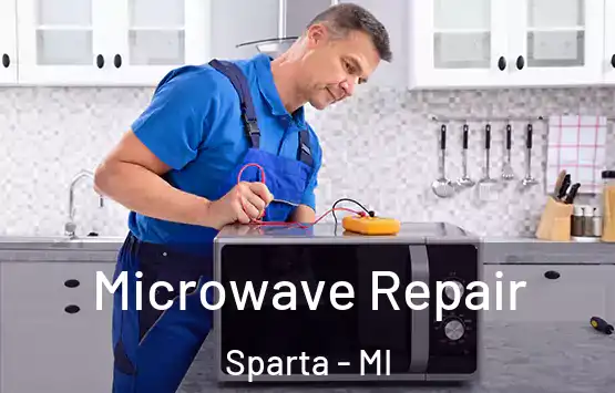  Microwave Repair Sparta - MI