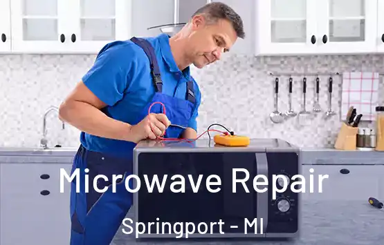  Microwave Repair Springport - MI