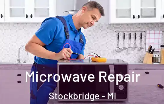  Microwave Repair Stockbridge - MI