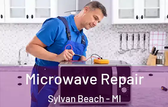  Microwave Repair Sylvan Beach - MI