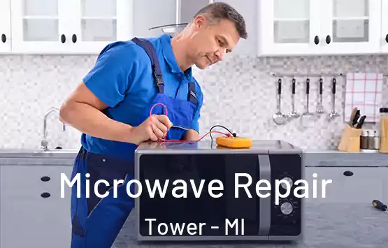  Microwave Repair Tower - MI