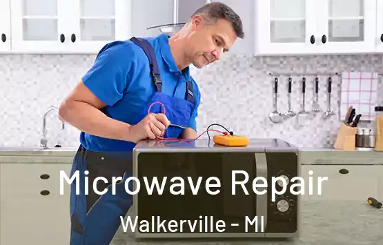  Microwave Repair Walkerville - MI