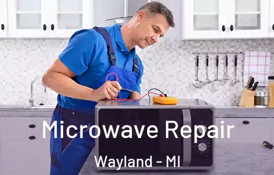 Microwave Repair Wayland - MI