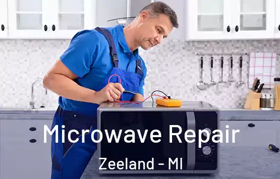  Microwave Repair Zeeland - MI