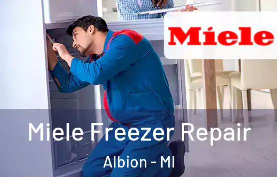  Miele Freezer Repair Albion - MI