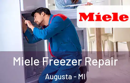 Miele Freezer Repair Augusta - MI
