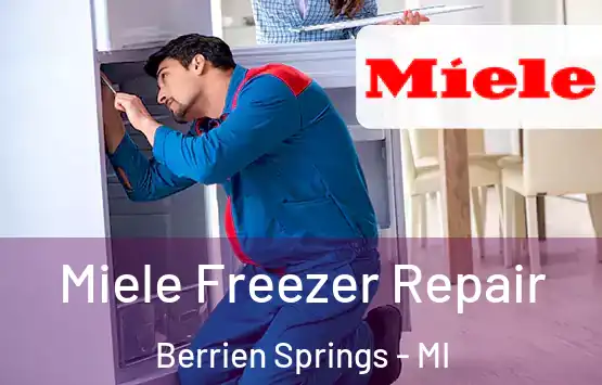  Miele Freezer Repair Berrien Springs - MI
