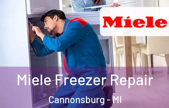  Miele Freezer Repair Cannonsburg - MI