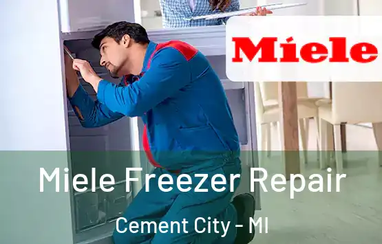  Miele Freezer Repair Cement City - MI