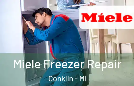  Miele Freezer Repair Conklin - MI