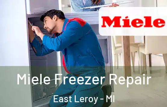  Miele Freezer Repair East Leroy - MI