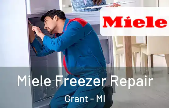  Miele Freezer Repair Grant - MI