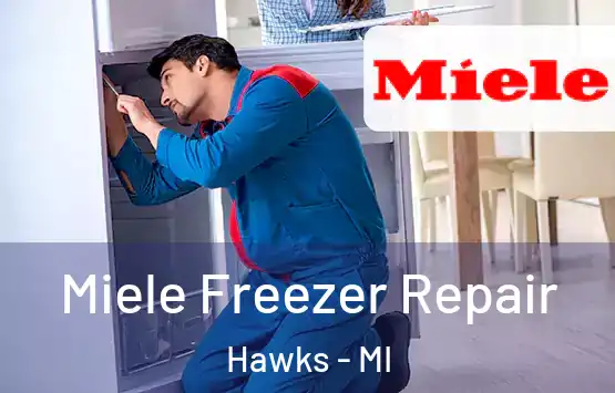  Miele Freezer Repair Hawks - MI