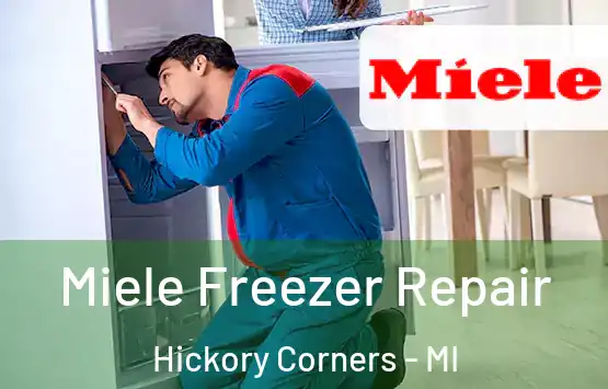 Miele Freezer Repair Hickory Corners - MI