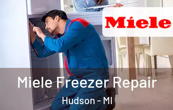  Miele Freezer Repair Hudson - MI