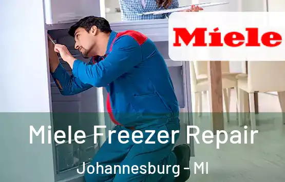  Miele Freezer Repair Johannesburg - MI