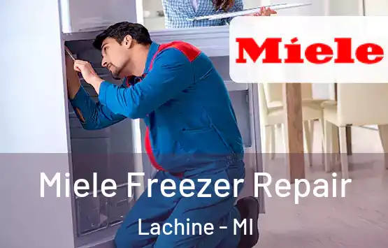  Miele Freezer Repair Lachine - MI