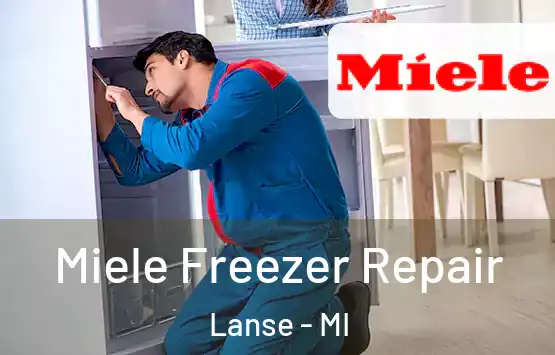  Miele Freezer Repair Lanse - MI