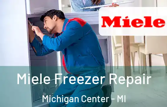  Miele Freezer Repair Michigan Center - MI