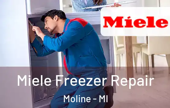  Miele Freezer Repair Moline - MI