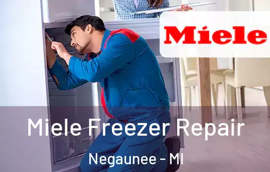 Miele Freezer Repair Negaunee - MI
