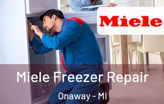  Miele Freezer Repair Onaway - MI