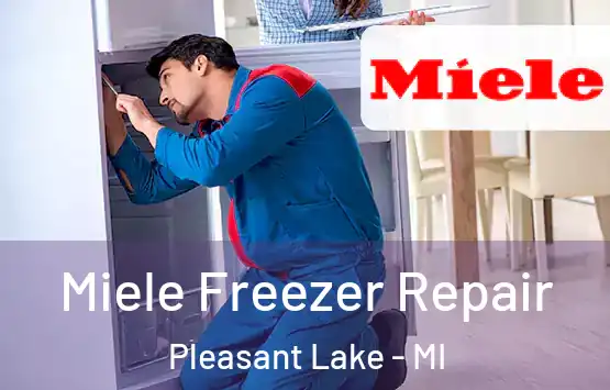  Miele Freezer Repair Pleasant Lake - MI